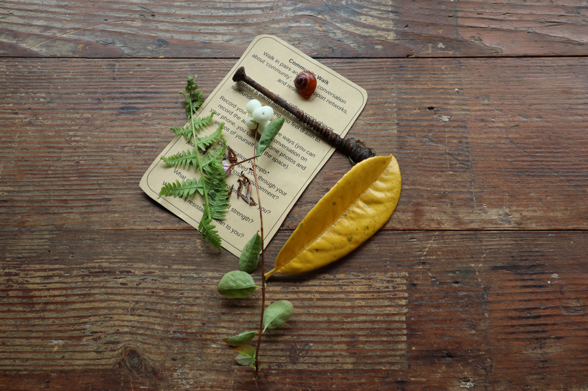 Image 4: Fahmida’s installation of objects from the ›community walk‹ including some plant seeds and leaves, a snail shell and a rusty nail. ©Rebekka Hölzle