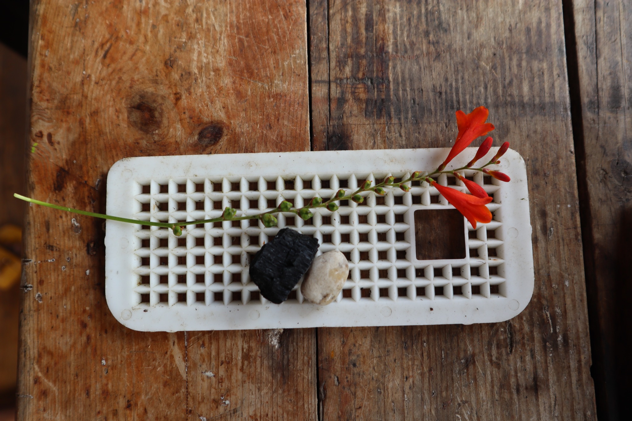 Image 5: Florence’s installation of objects from the ›community walk‹ including a plastic grid with holes, a flower, a stone, and a piece of charcoal. ©Rebekka Hölzle