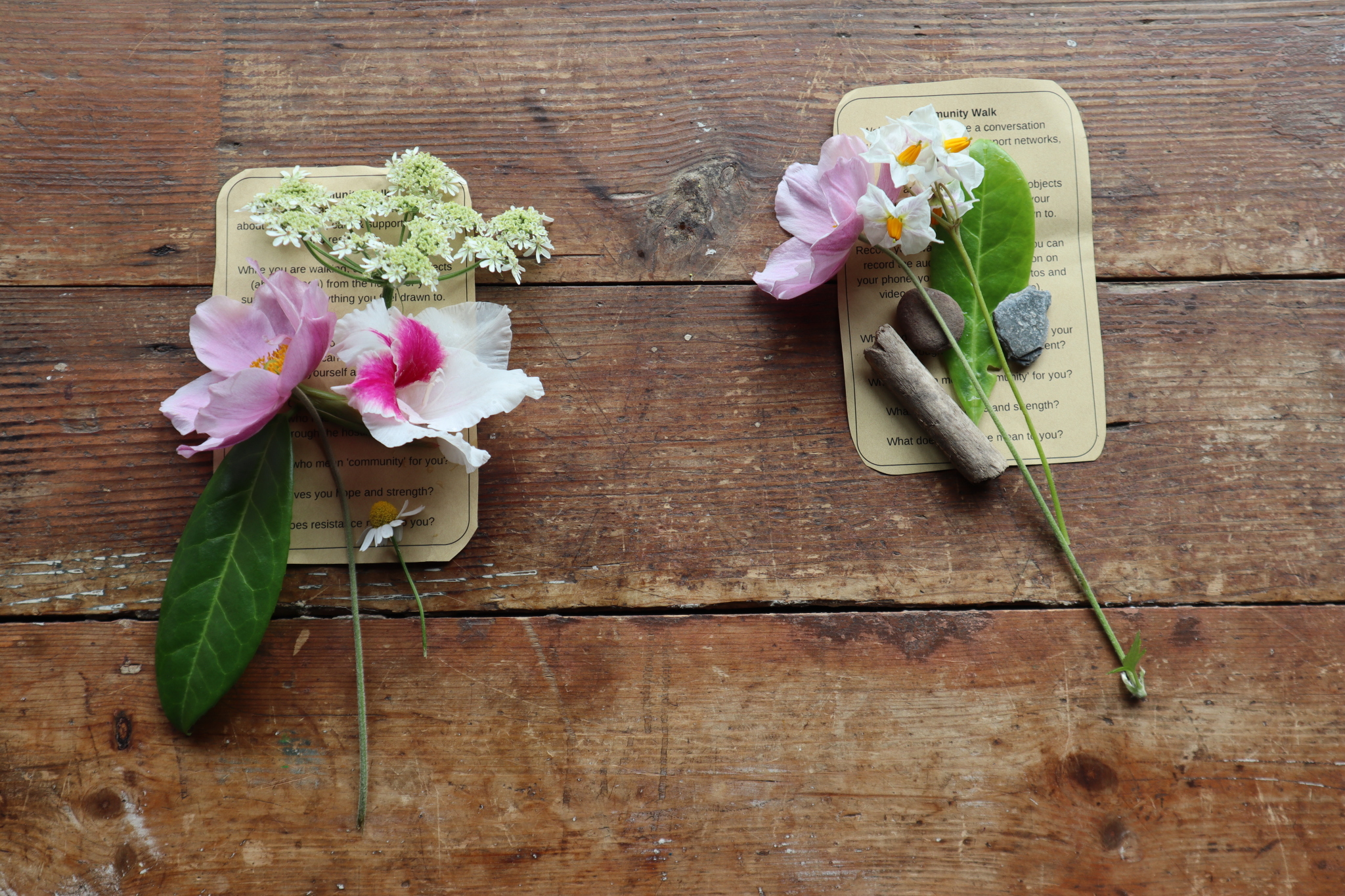 Image 6: Installations of natural objects and flowers from the ›community walk‹. ©Rebekka Hölzle